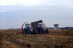 Apr 2004: Mowing on central area